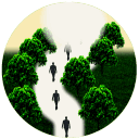 The Pathway To Righteousness